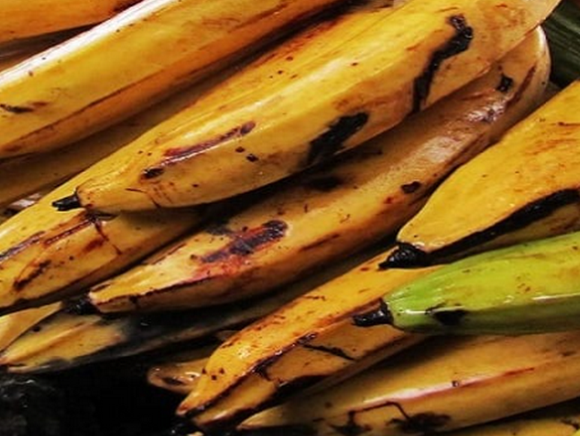 Banane Plantain